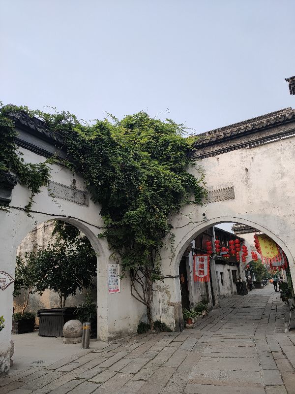 苏州震泽古镇慈云禅寺,苏州市震泽古镇