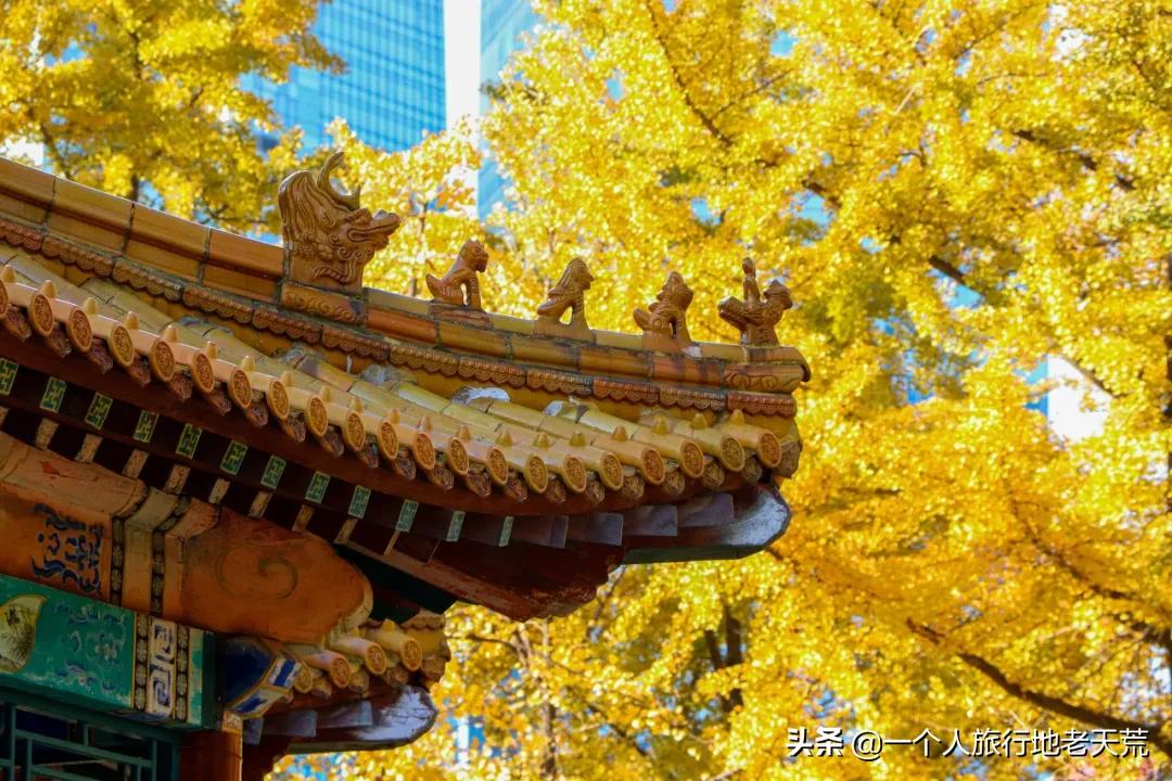 大连最浪漫的十个地方,大连浪漫景色