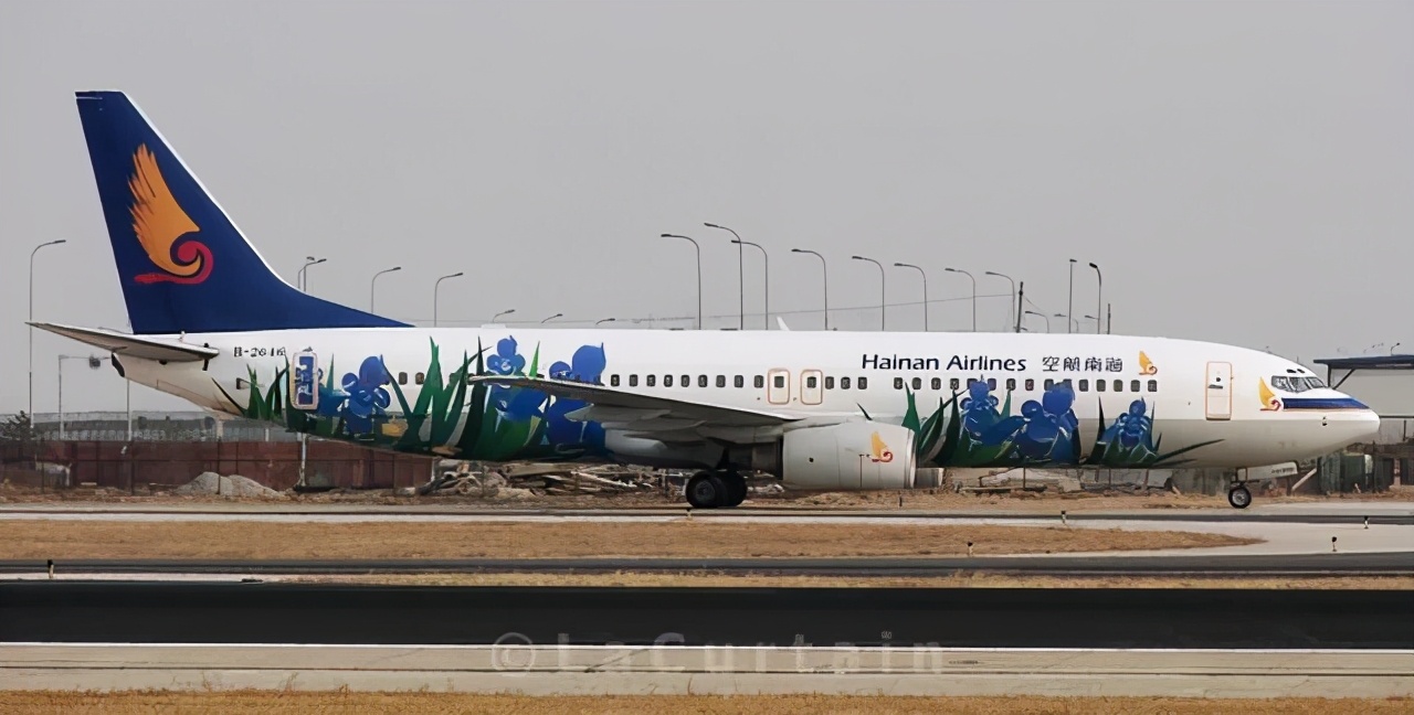 海南航空彩绘机价格,海南航空所有彩绘号