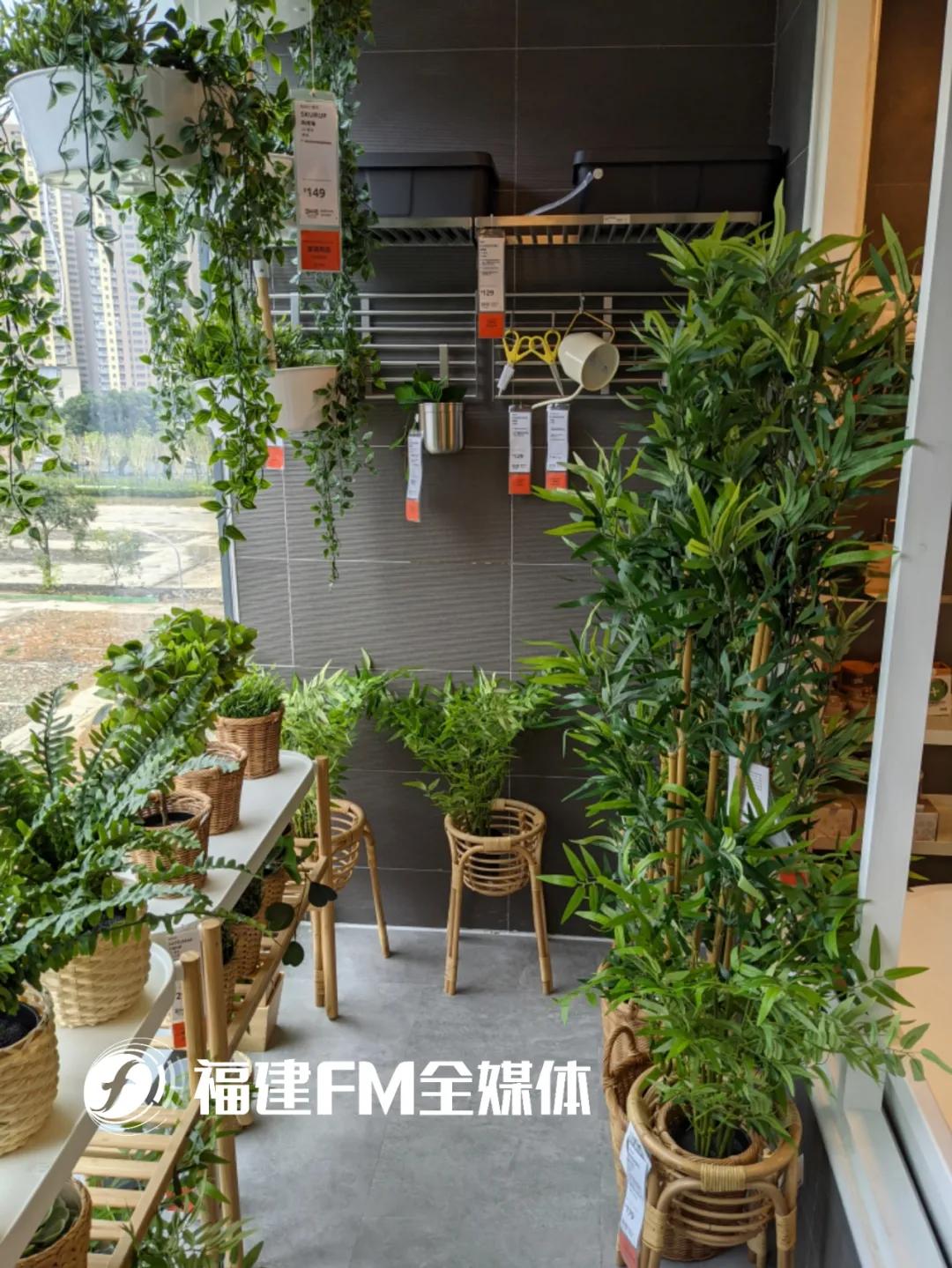 福州宜家怎么逛,福州宜家小朋友一日游