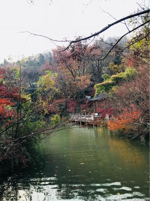 南京秋天旅行攻略,来南京体验秋天浪漫
