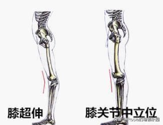 杨幂漫画腿细长怎么办,杨幂漫画腿挑战