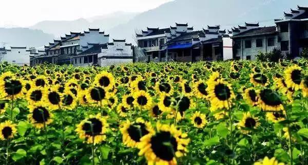 国庆节西安周边,西安周边国庆放假游玩攻略