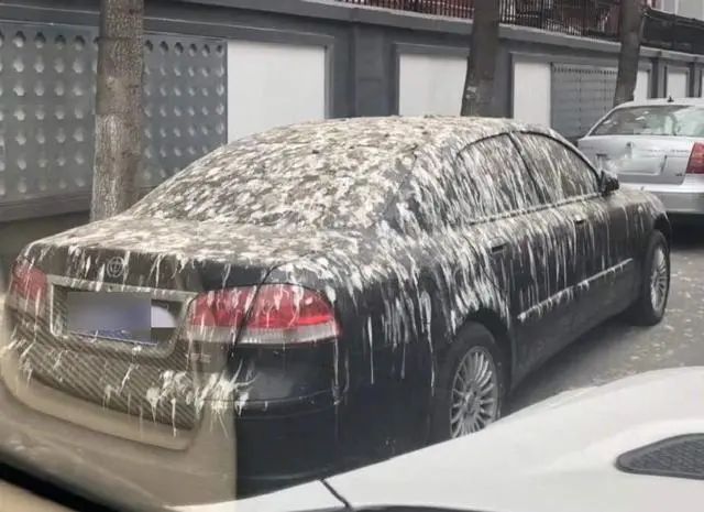 汽车暴晒后正确操作,汽车暴晒后开车门