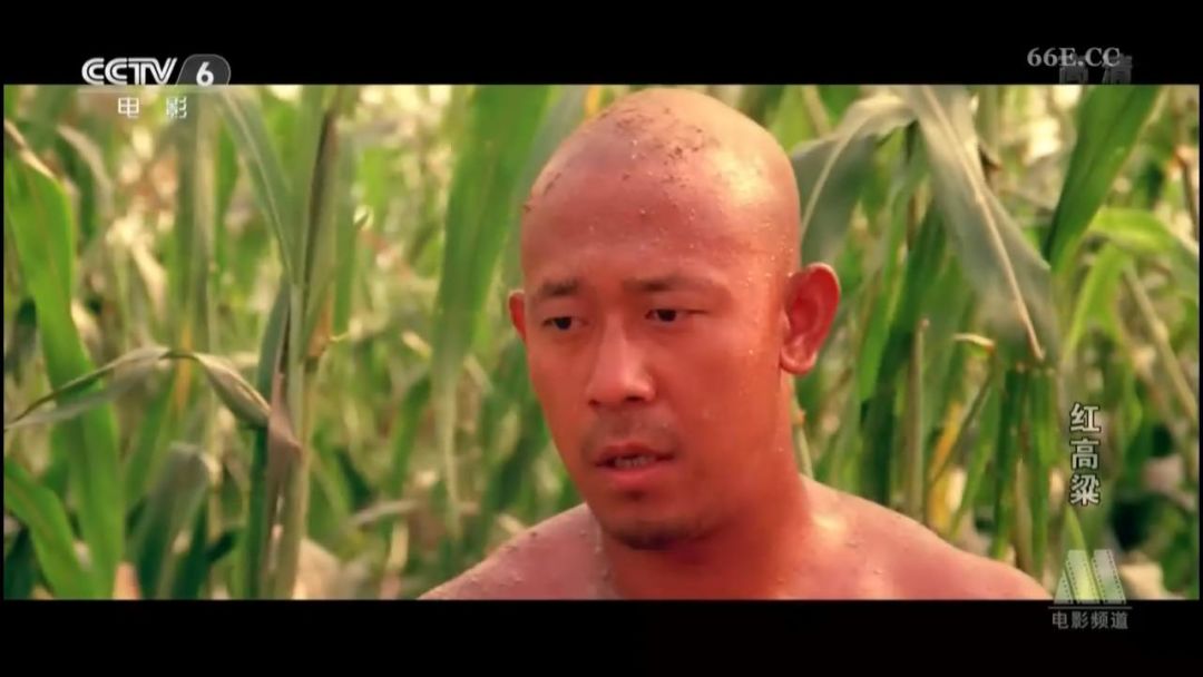 张艺谋的艺术成就,终身成就艺术家张艺谋