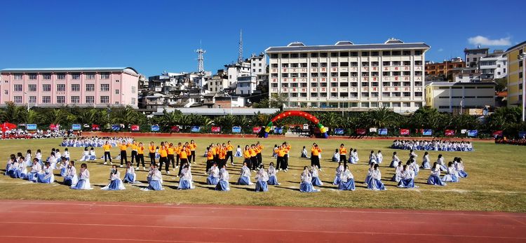 澶у鐢板緞,濂嬫枟闈掓槬寮哄浗鏈夋垜杩愬姩浼氬紑骞曞紡