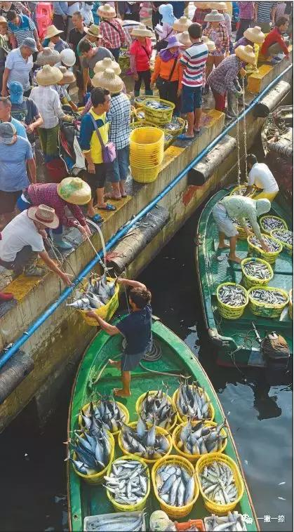 什么样的照片可以放到屏幕上,什么样的照片容易获奖
