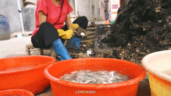 沙井的蚝,沙井为什么这么多蚝