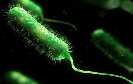 女童抠破“小红疙瘩”致下肢坏死，3次手术保命！医生：出现这些症状别不在意