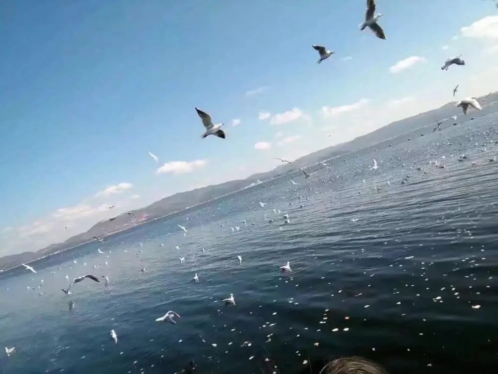 心理咨询销售顾问前景,心理咨询师就业前景