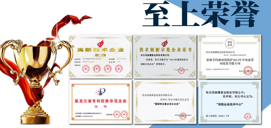 森鹰门窗发展史,森鹰门窗新闻