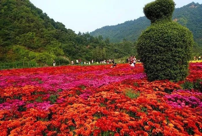 你心中的大山是什么,你心中的十堰是什么样的