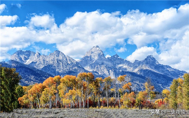 上善若水从善如流意思,上善若水从善如流是谁写的