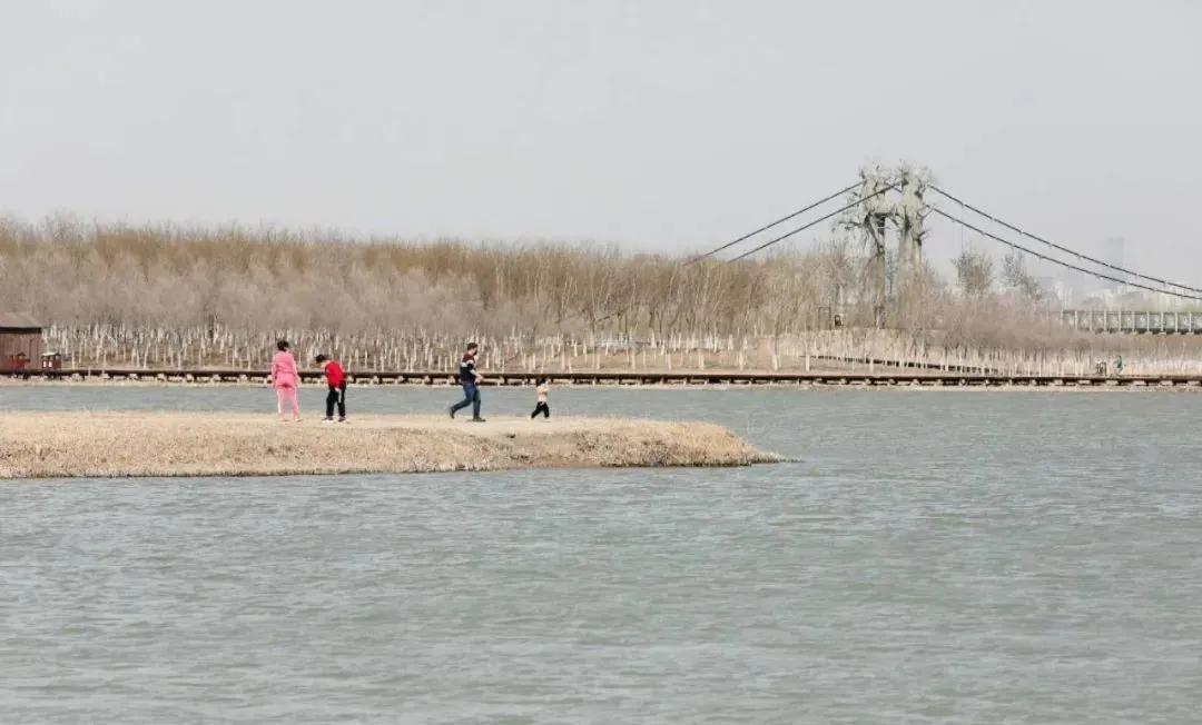 天津春暖花开西沽公园,天津开放的湿地生态公园