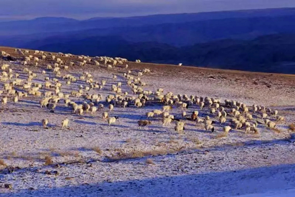 巴音布鲁克镇冬天的生活,巴音郭楞自治州和静县冬天