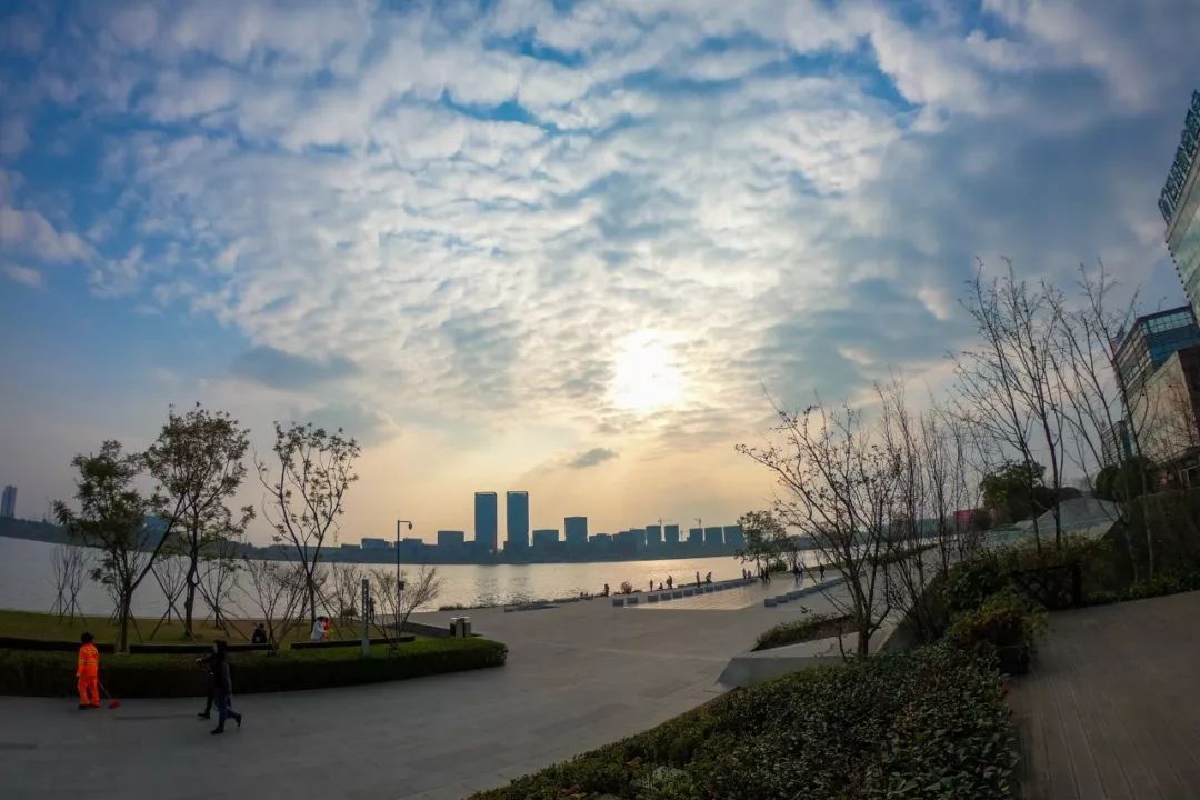 成都新增2个公园,成都到处都是公园城市