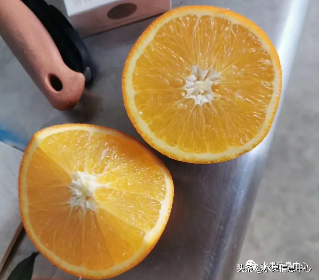 最好的橙子产地在哪里,中国橙子产地排名