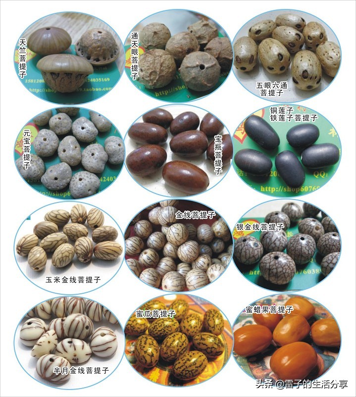 大尺寸星月菩提108颗蜜蜡配饰,文玩菩提子鉴赏