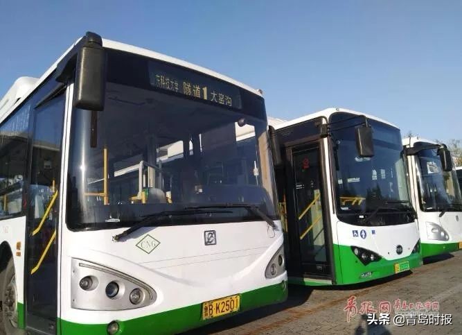 鲁b车主最新消息,鲁q车主注意事项