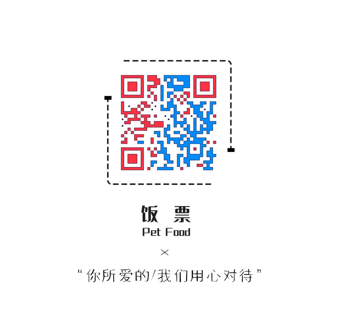 猫咪干货,如何判断猫咪的健康问题