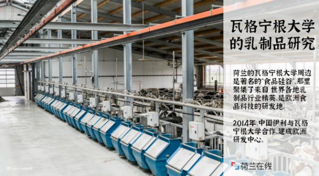 荷兰奶粉管理严吗,荷兰奶粉攻略