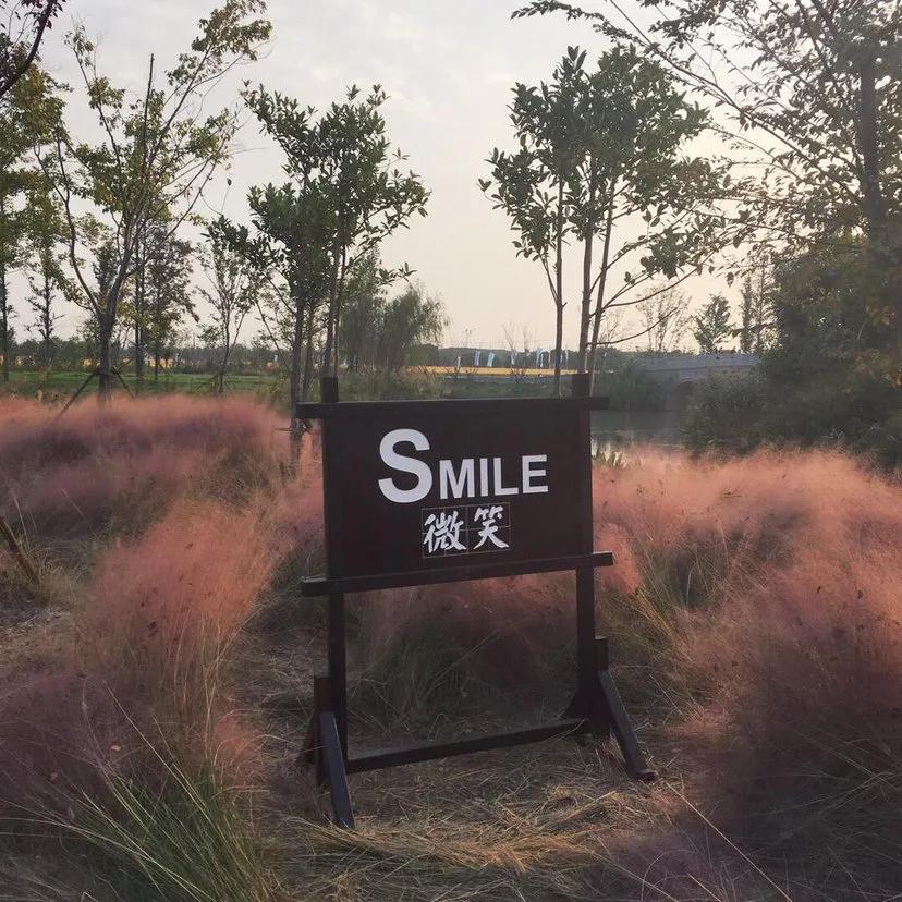 探秘上海私藏的旅行宝藏地,上海十大宝藏景点图片大全