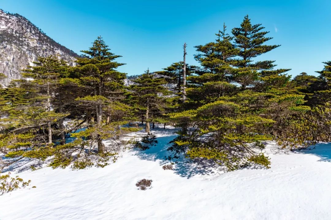 大理苍山四景,苍山四景
