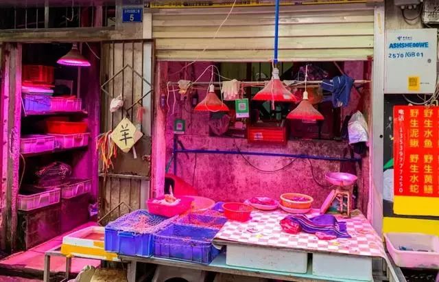 沙河创业前景,沙河服装批发创业前景