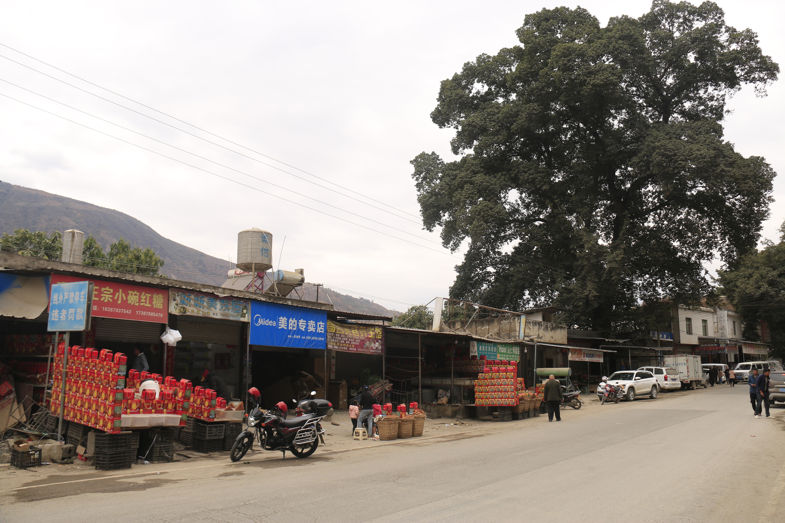 巧家县小碗红糖哪家正宗,巧家县小碗红糖介绍