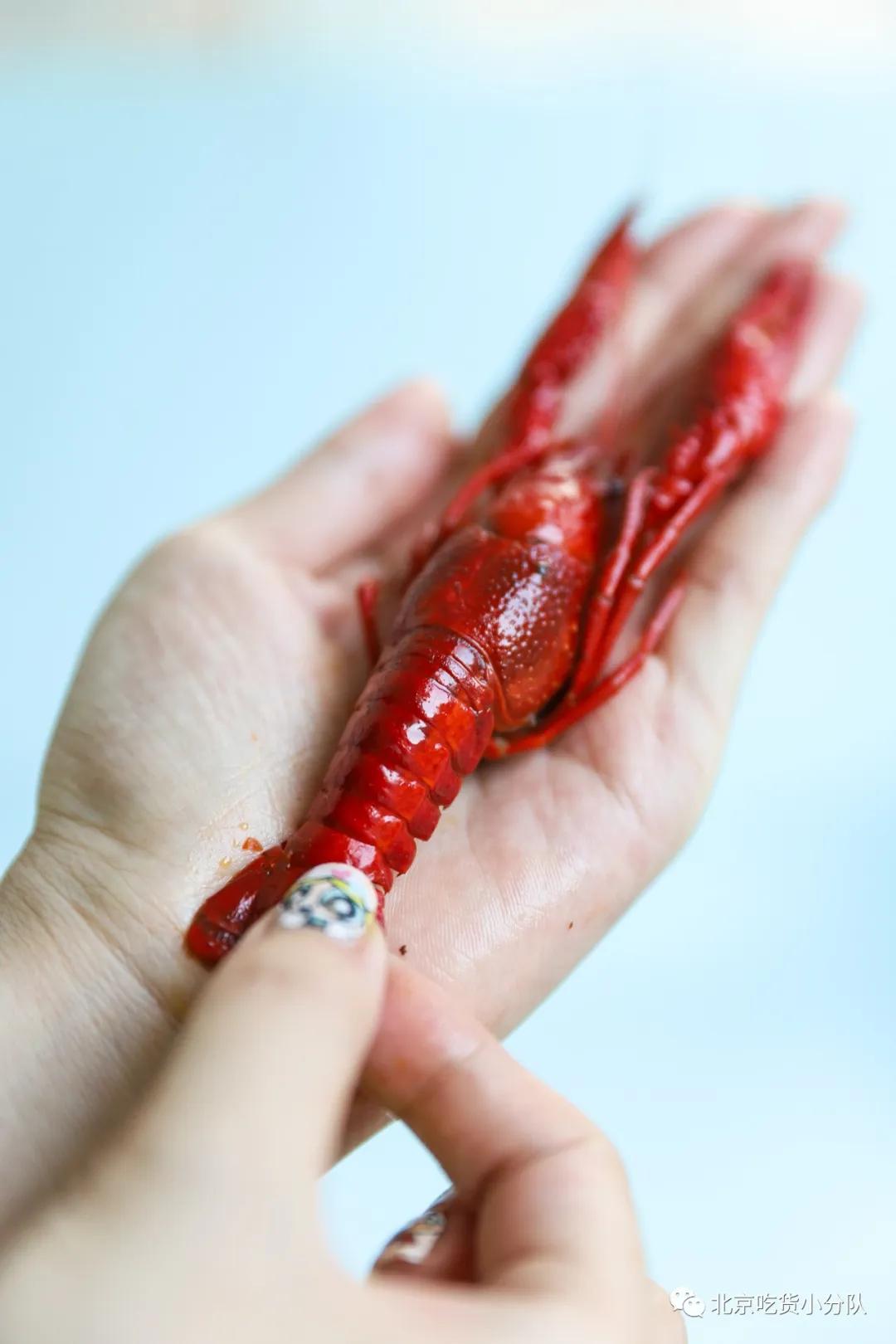 卖1百多亿的网红,卖一百多万商品的网红能赚多少钱