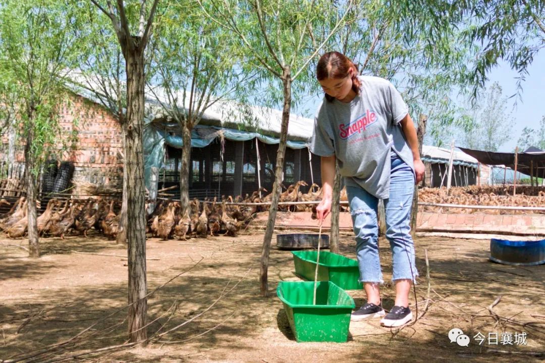 襄城县：吹起了“集结号”，唱起了“凤还巢”