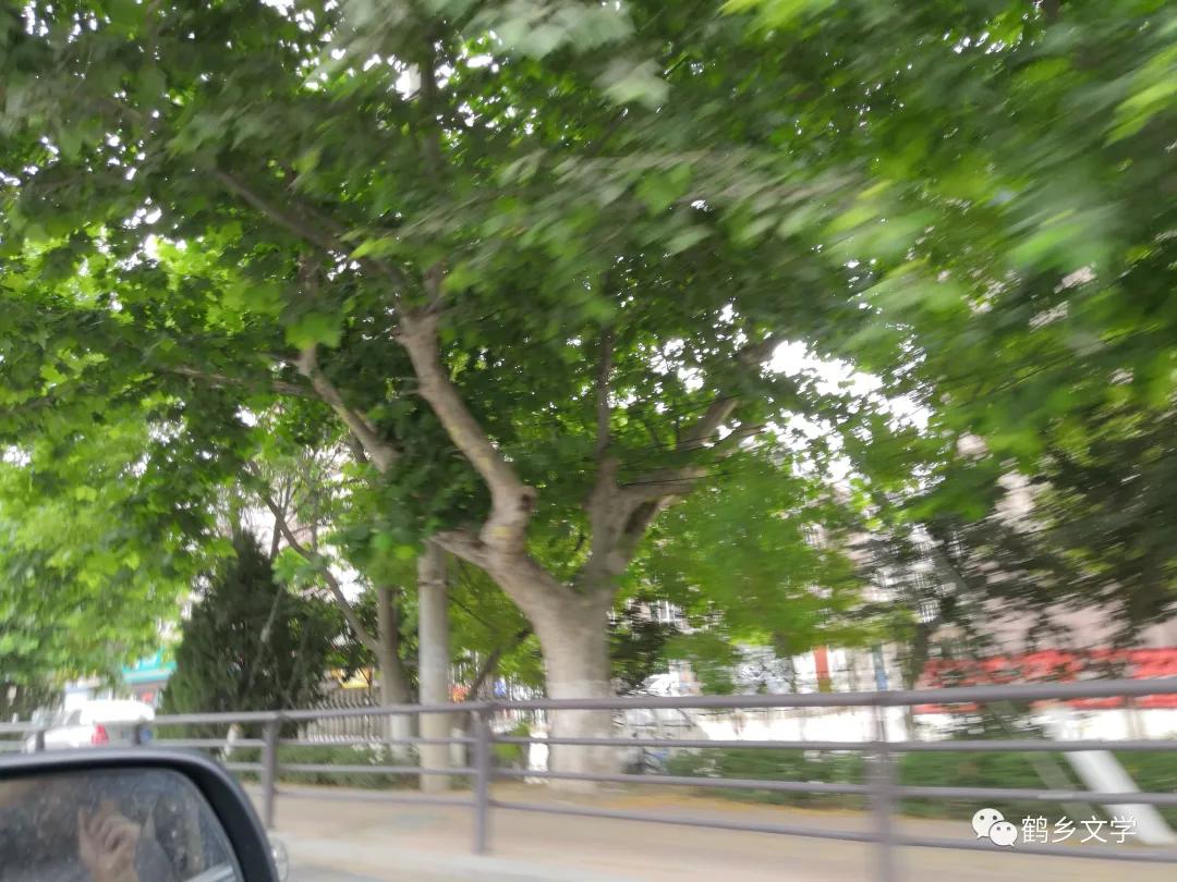 有关韩嘉川的视频,韩嘉川代表作品