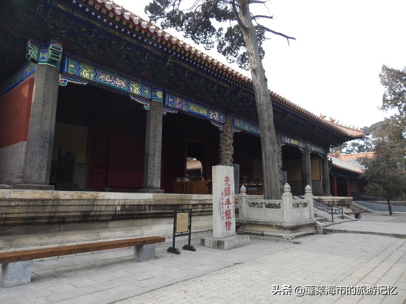 向经典致敬向传统致敬,向经典致敬弘扬传统文化