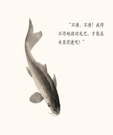 小壁虎借尾巴绘本故事加动作,小壁虎借尾巴自制绘本