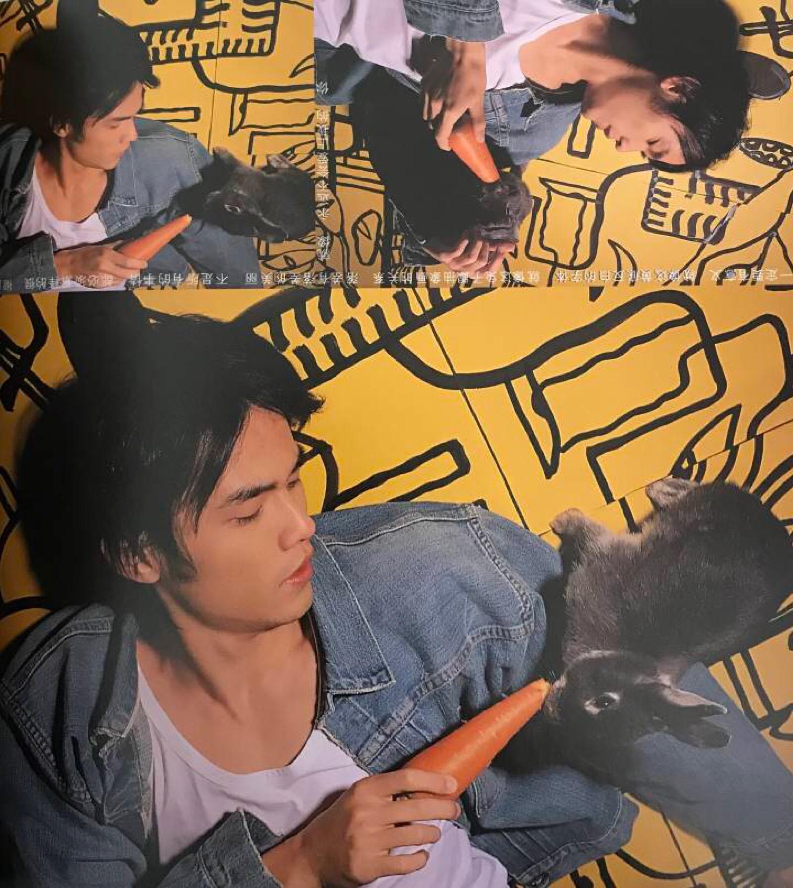 周式情歌推荐第一期：《七里香》把永远爱你写进诗的结尾