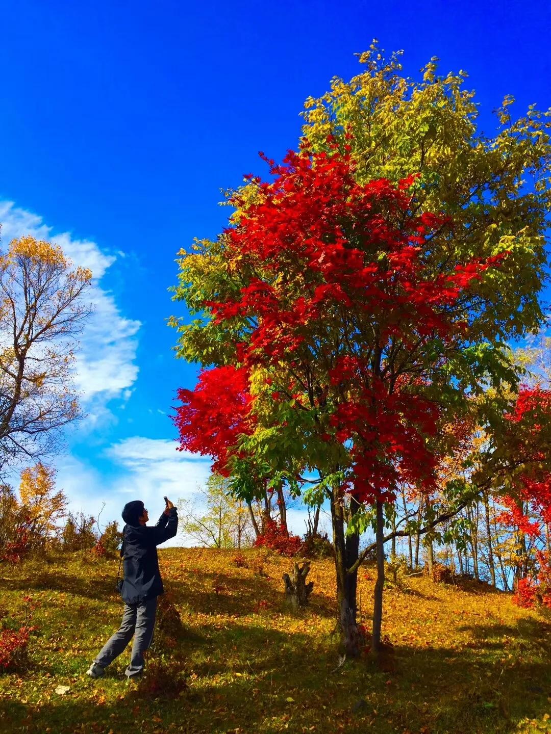 旅游景点畅玩团购,景点游玩优惠团购