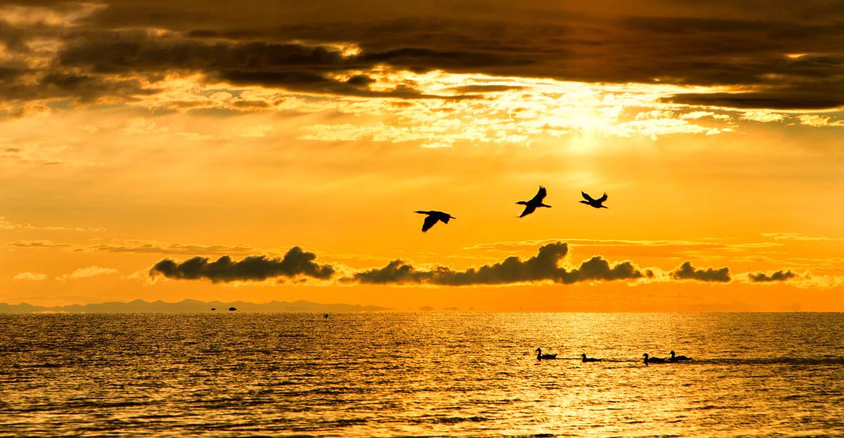 花姐姐:青春期的孩子喜欢染头发,穿奇装异服,追潮流怎么办?