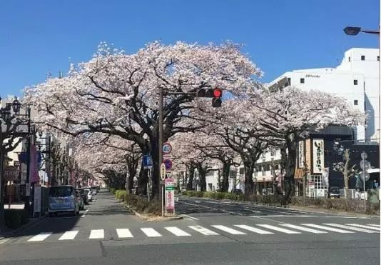 茨城县在日本什么位置,日本茨城值得去吗