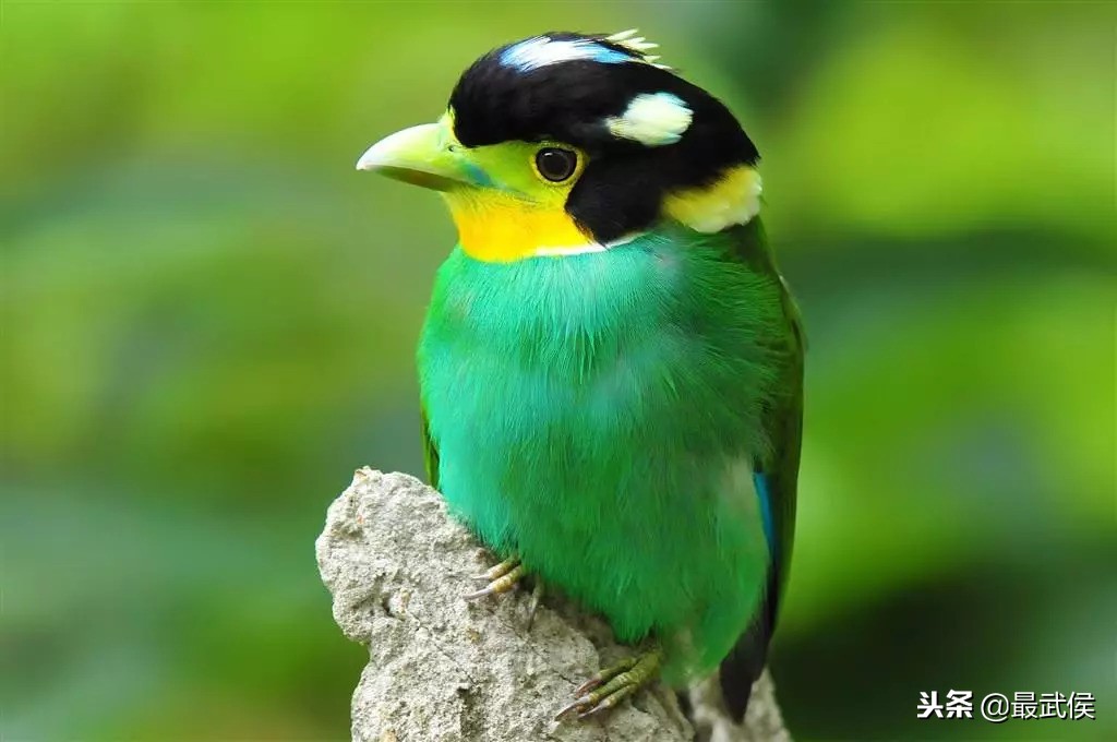 成都批发市场哪里最便宜,成都哪里有批发便宜货的