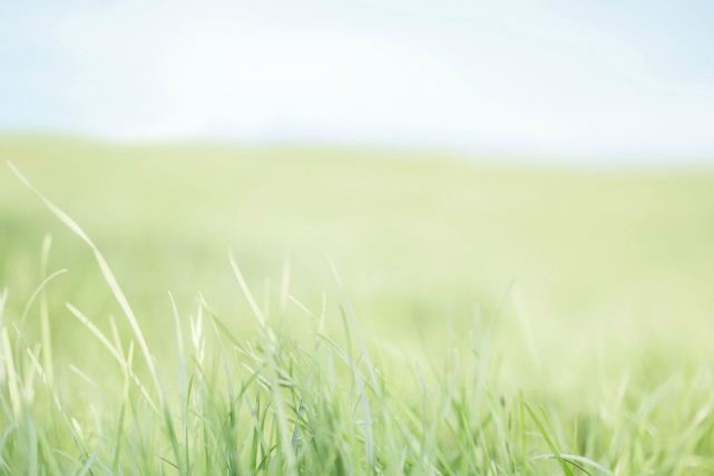 城府不深最值得交往的三大星座,这几个星座从不轻易吐露真情