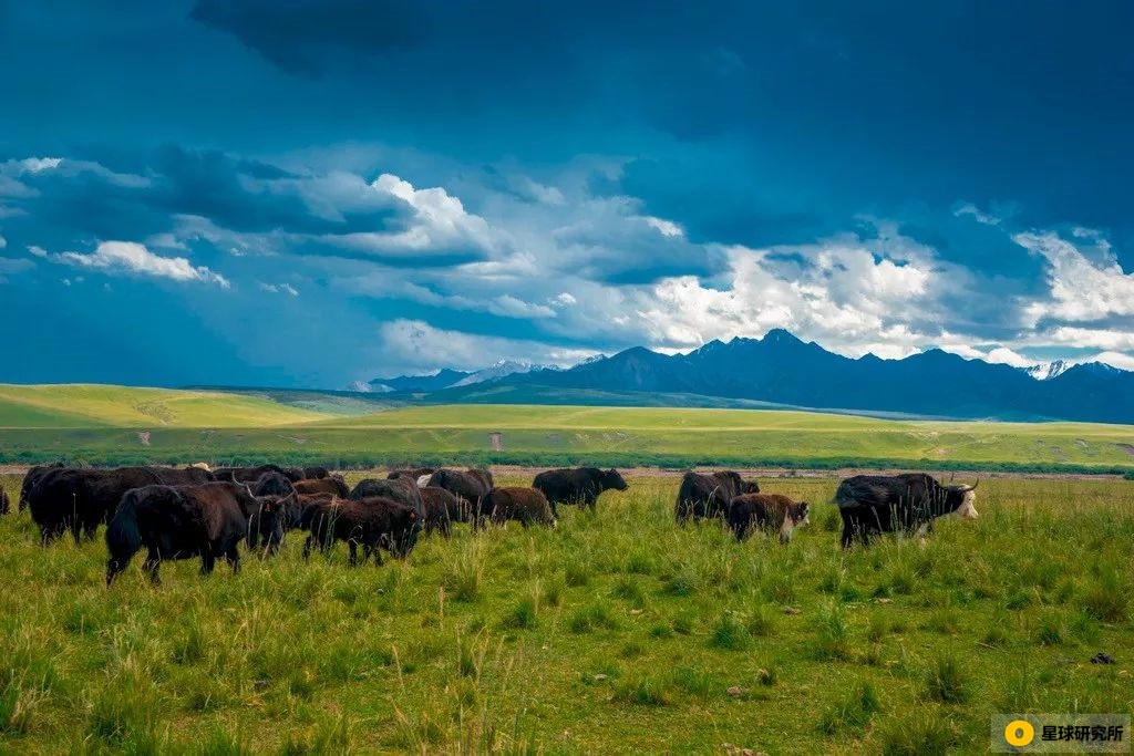甘肃荒凉风景视频,甘肃荒凉的美景