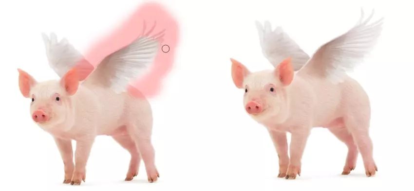 ps花仙子合成教程,ps合成狗狗教程