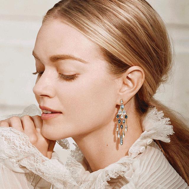 为什么闲鱼的施华洛世奇那么便宜 (为什么闲鱼上施华洛世奇那么便宜)