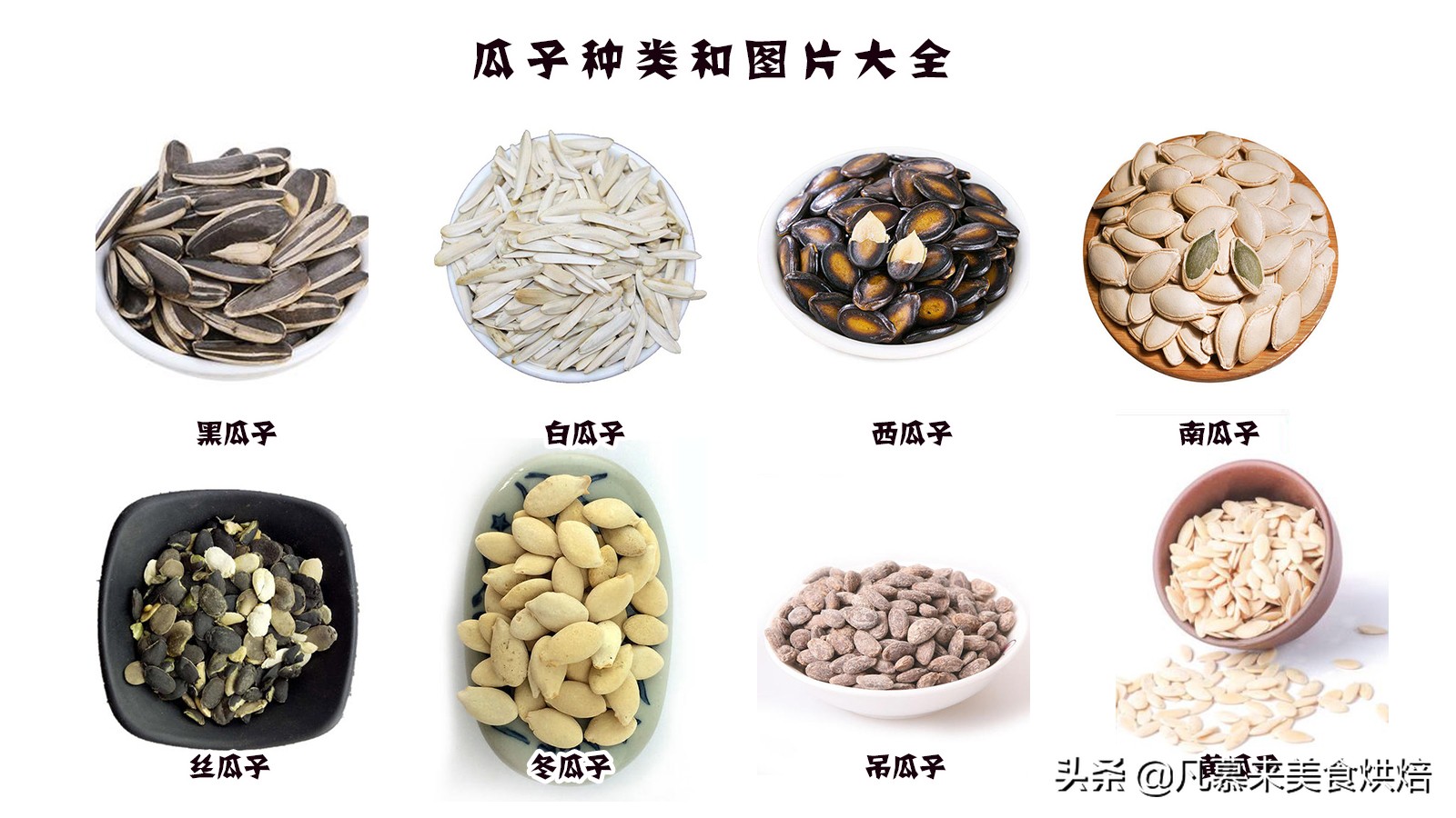 什么样的坚果又好吃又有营养,坚果类有哪些坚果种类