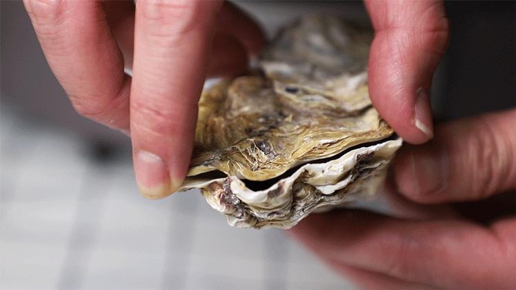 佛山禅城粤菜探店,佛山这家抵食街坊粤菜你吃过吗