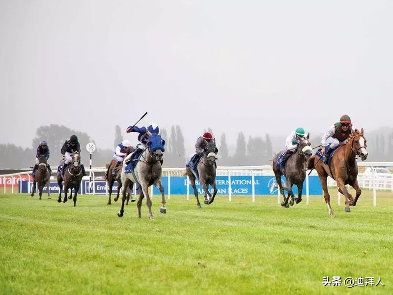 阿联酋国庆节,庆祝第73个国庆节