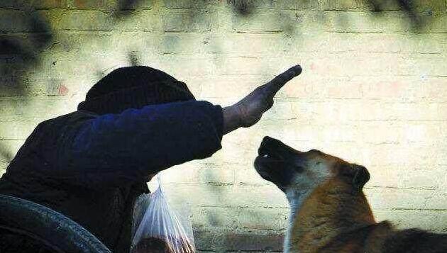 虐待狗狗会有什么后果,狗狗被人虐待后果