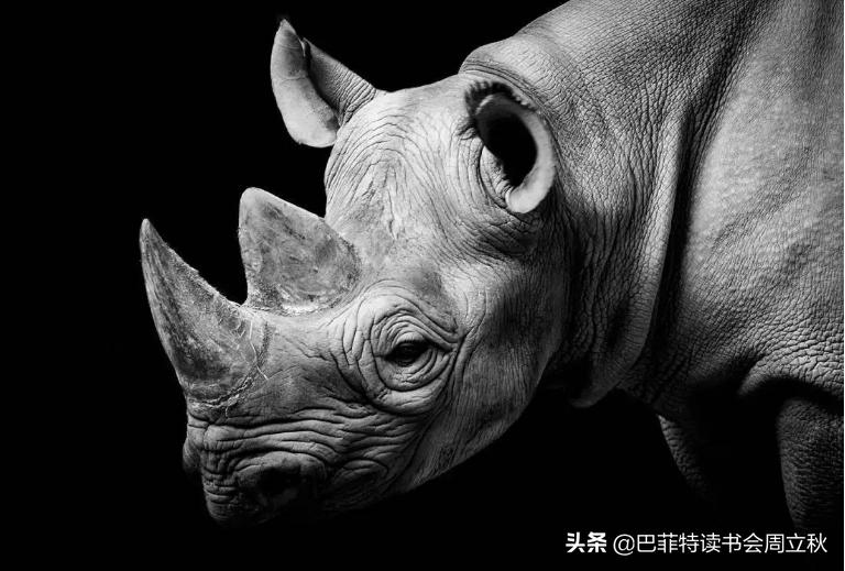 富人的通胀，穷人的通缩（全球股市估值图每周更新）