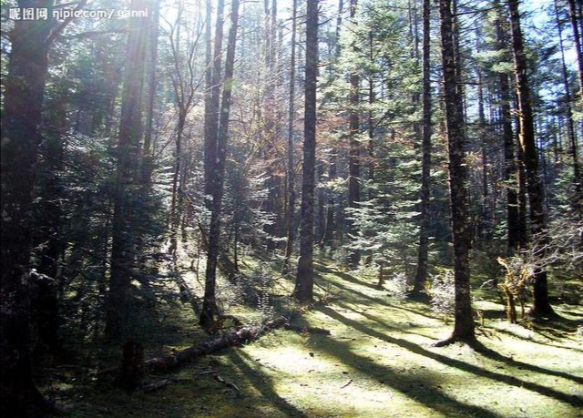 徐建成散文随笔选,徐建成的散文随笔