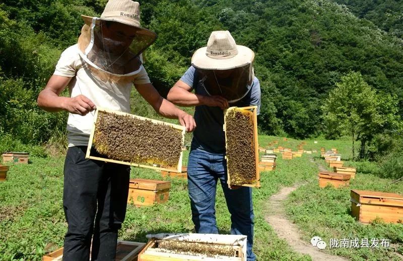 我叫成县，这是我2019年的自拍照~